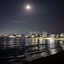 천진해변 이미지