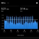 오 약 국 | 템포런 그리고 인터벌 후, 즐기며 달린 2025 제 1회 인천마라톤 10k 완주 후기!