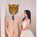 귀차니즘의 웨딩촬영이란