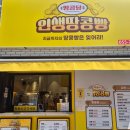 시내지 | [경남/진주]진주성 카페 시내 디저트 맛집 | 땅콩당 인생땅콩빵 본점 후기 !