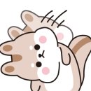 다옴 캠핑장 이미지