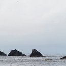 물빛-울림 | 독도 여행 후기｜접안 걱정했지만 성공! 3월 울릉도 단체 방문