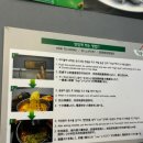 맛송송면집 | 부산 남포동 혼밥 좌석 있는 맛송송면집 솔직후기