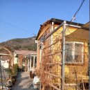 다숲민박 이미지