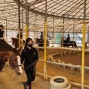 충무승마장 이미지