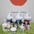 슈에뜨시앙 이미지