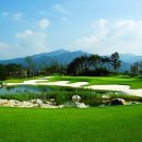 (주)대영베이스(대중제) 이미지