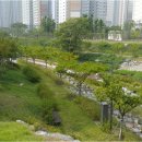 가락마을2105동앞 이미지