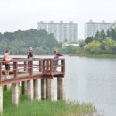 호암지낚시터 이미지