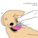 개밥도둑