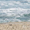 경포의휴일 이미지