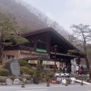 만인산자연휴양림 네이버블로그