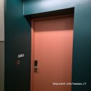 영아침구 | [양양호텔] 양양 신상호텔 세인트더스위트 양양 2박 3일 내돈내산 솔직후기! 장점부터 단점까지