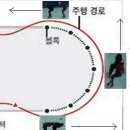 (491)1-4-7 활주법은 곡선활주(코너)를 직선활주처럼... 이미지