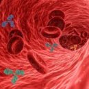 단비식품 이미지