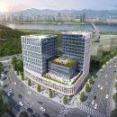 라임벨리 이미지