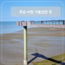 꽃메4281 | [충남 서천] 치유의숲 장항스카이워크전망대 서천수산물특화시장 서천카페 꽃메4281