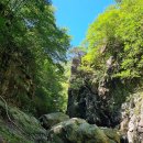메아리산악회 182차(내연산)산행안내 이미지