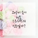 마음을 읽어주는 마음동물병원 이미지