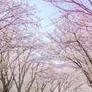 오산리기도원