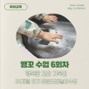 행복한 꼬마 거북이 이미지