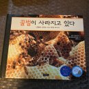 2011년 초판, 2014년 4쇄 인세 " 꿀벌이 사라지고 있다 " 이미지