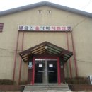 용인랜드 숲속캠핑장 이미지