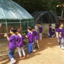 부광 농장 이미지