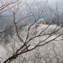 970번 버스를 기다리며 외 1편 이미지
