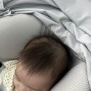싸이벡스 제로나T 아이사이즈 두 달 사용 후기
