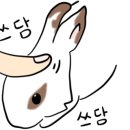 동두천호수부대찌개(의정부용현점) 네이버블로그
