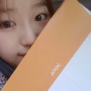 씨젤리피쉬 이미지