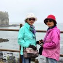 강진 수성당 이미지