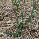 홍산농장 이미지