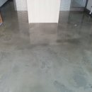 총각네 강아지 이미지