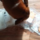 주식회사 동물의집 이미지