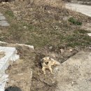 횃대둥우리 이미지