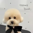 멍발소 하우스 이미지