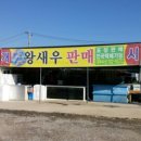 왕새우판매점 네이버블로그