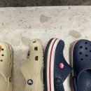 C13 | 크록스 키즈 크록밴드 클래식 클로그 베이지 구매후기 C13 J1 사이즈 팁 비교 내돈내산