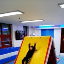 갈곡초등학교(병설) 이미지