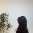 라비앙제이(LA VIE EN J)