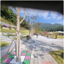 미래조경자재 이미지