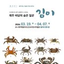 제주바당 이미지