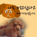 배터지는 생돈가스 이미지