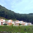 월송길 | [춘천 월송리캠프-1006호] 강원도글램핑 | 바베큐 제공 | 내돈내산 솔직 후기
