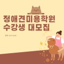 경상동물병원 | 🔥수원에 이런 규모가 온다고? 경상권 1위 애견미용학원이 드.디.어 수도권 상륙합니다🔥