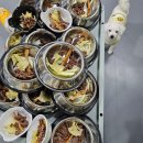 보령애견 이미지