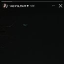 양이양이 이미지