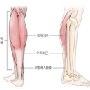 엘리스의원 이미지